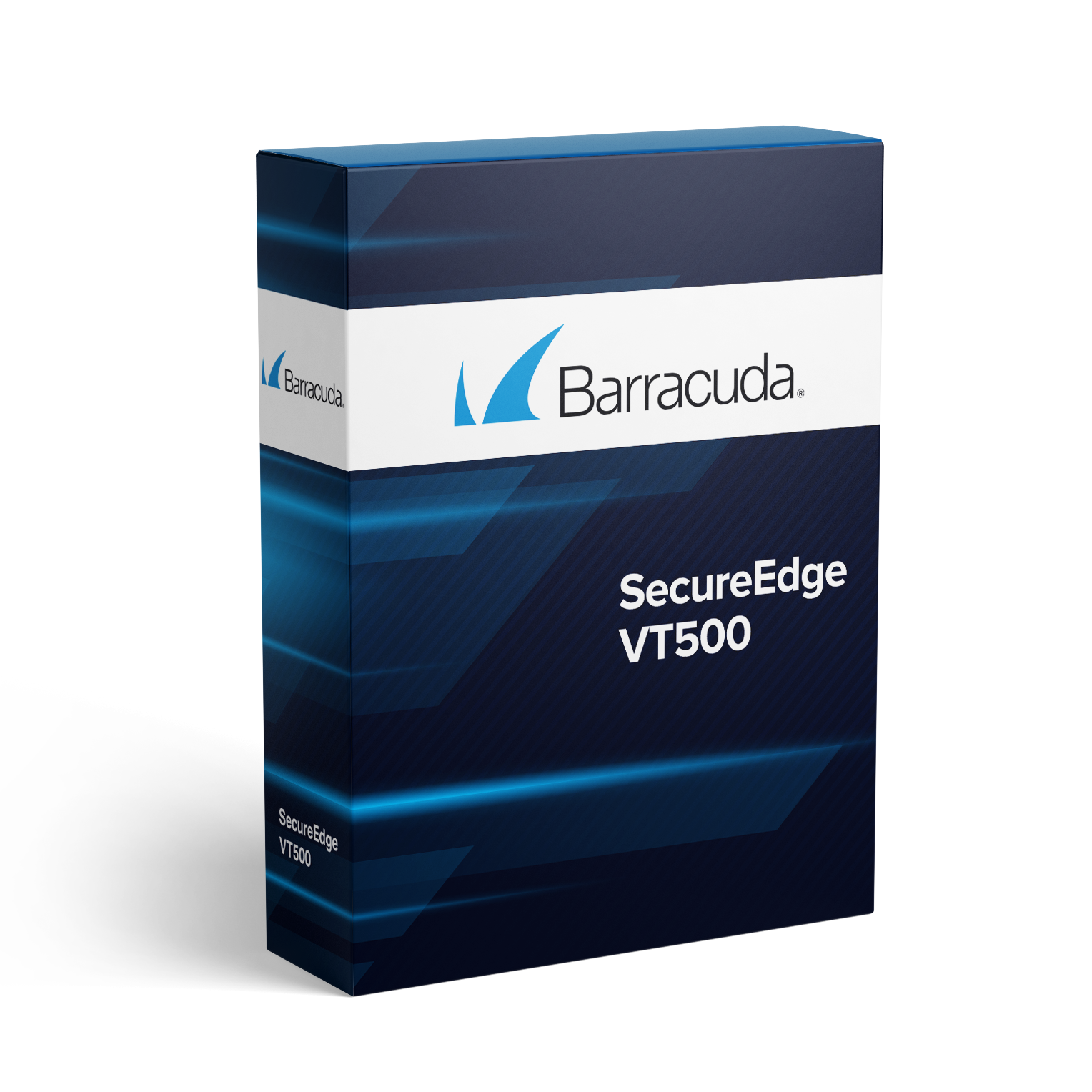 Barracuda SecureEdge VT100