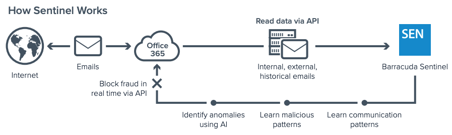 How Sentinel Works